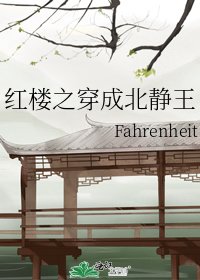 紅樓之穿成北靜王